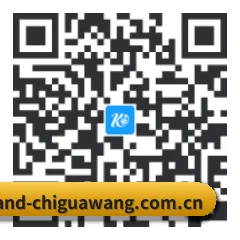 安卓抗崩溃专版 二维码